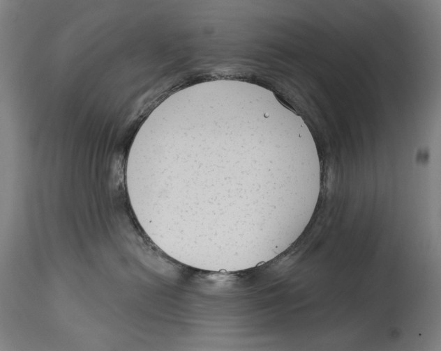 X0000114440478200911131520
