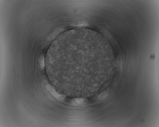 X0000114440479200911131520