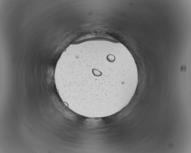 X0000114440480200911131520