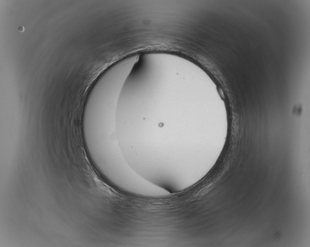 X0000114440481200911131519