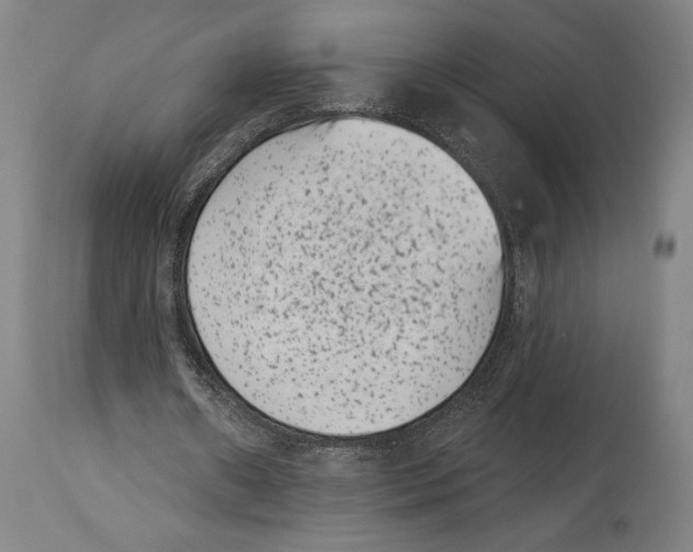 X0000114440482200911131519