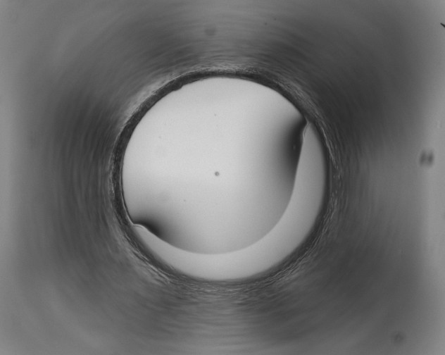 X0000114440483200911131519