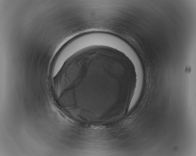 X0000114440484200911131519