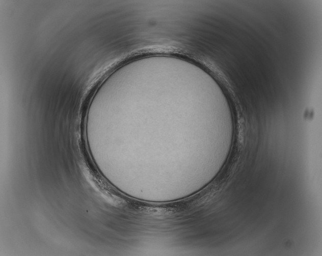 X0000114440486200911131519