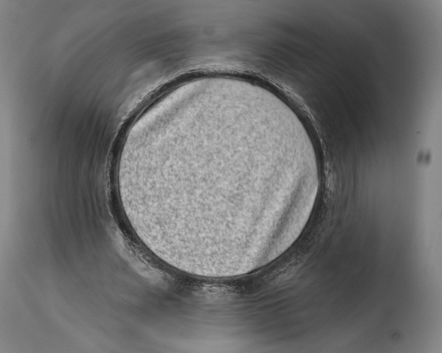 X0000114440487200911131519