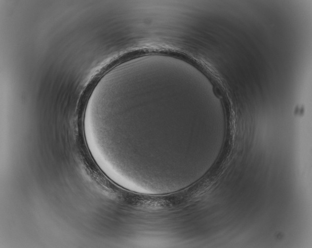 X0000114440488200911131519