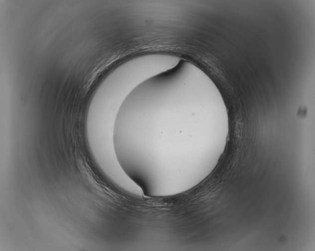 X0000114440491200911131519