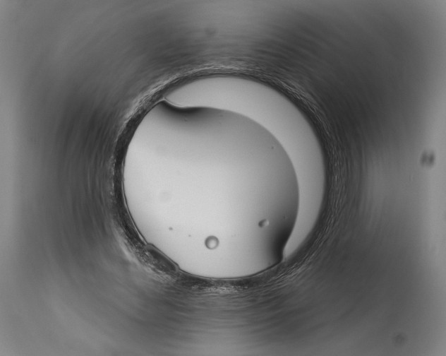 X0000114440492200911131519