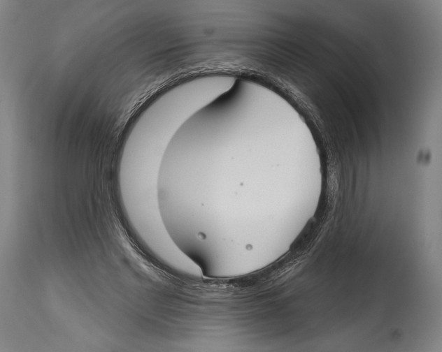 X0000114440493200911131519