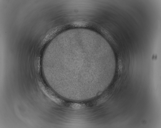 X0000114440494200911131519