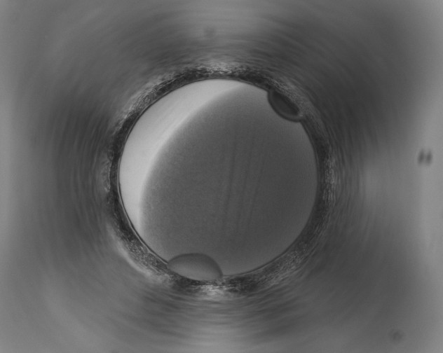 X0000114440496200911131519