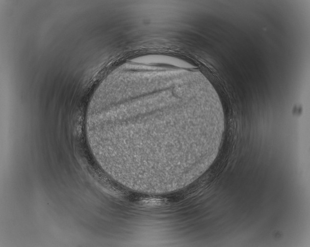 X0000114440499200911131519