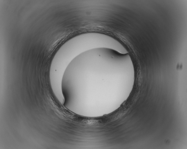 X0000114440501200911131519