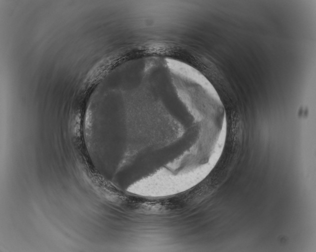 X0000114440502200911131519