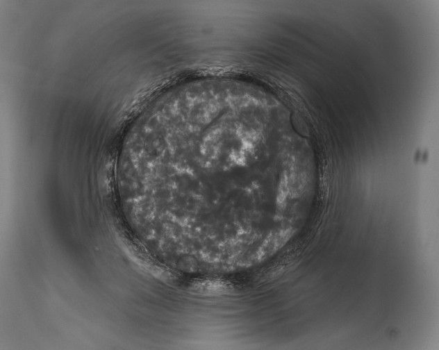 X0000114440503200911131519