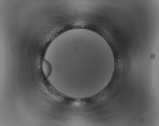 X0000114440504200911131519