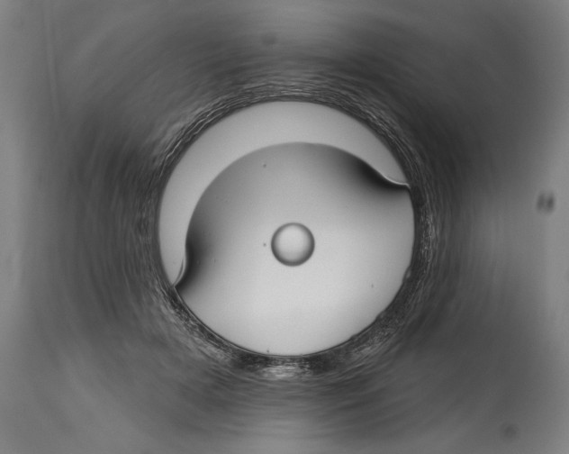 X0000114440505200911131519