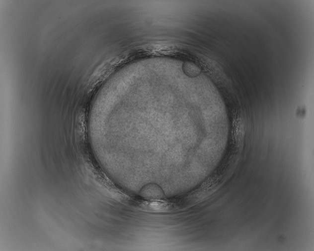 X0000114440506200911131518