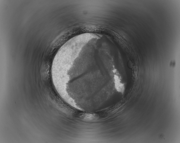 X0000114440507200911131518