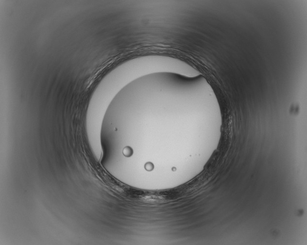 X0000114440508200911131518