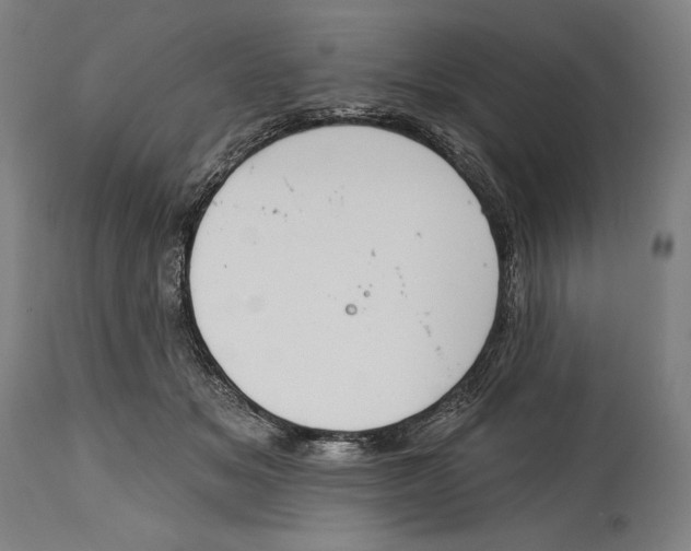 X0000114440509200911131518