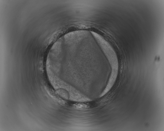 X0000114440512200911131518