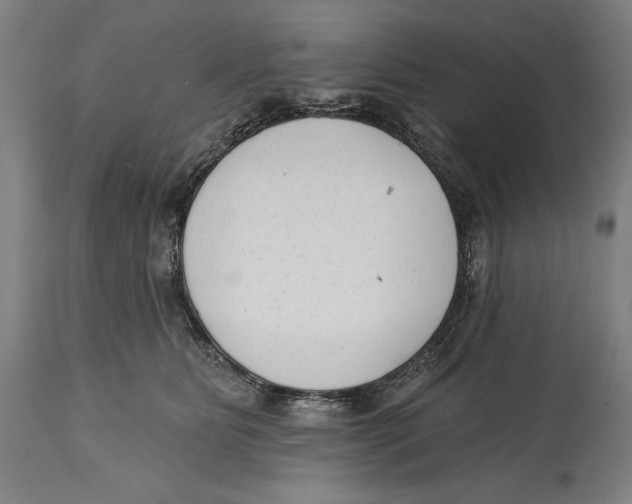 X0000114440515200911131518