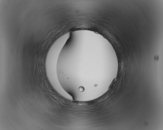 X0000114440517200911131518