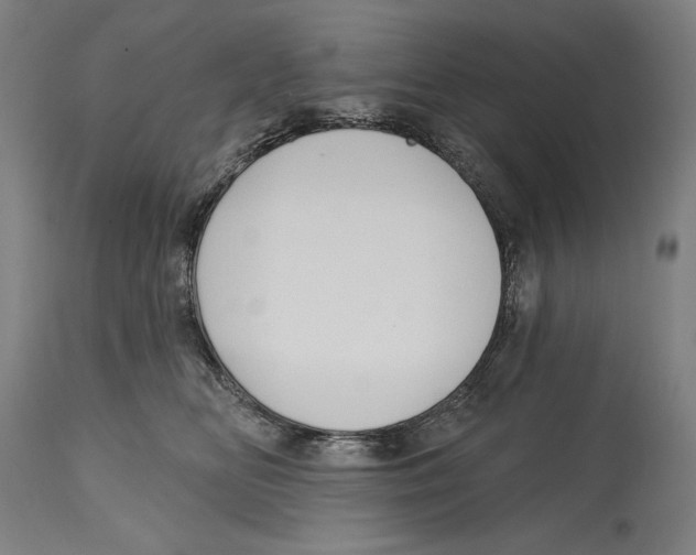 X0000114440518200911131518