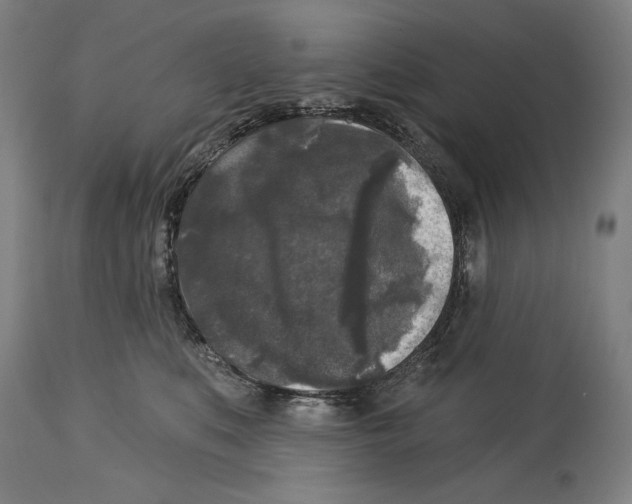 X0000114440519200911131518