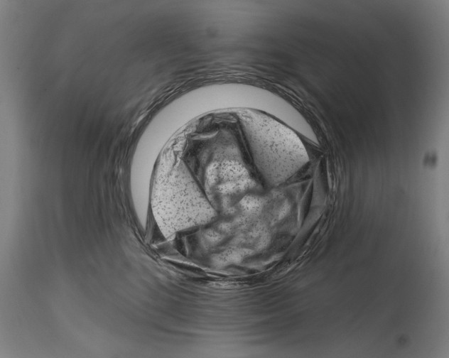 X0000114440520200911131518