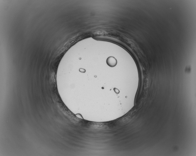 X0000114440521200911131518