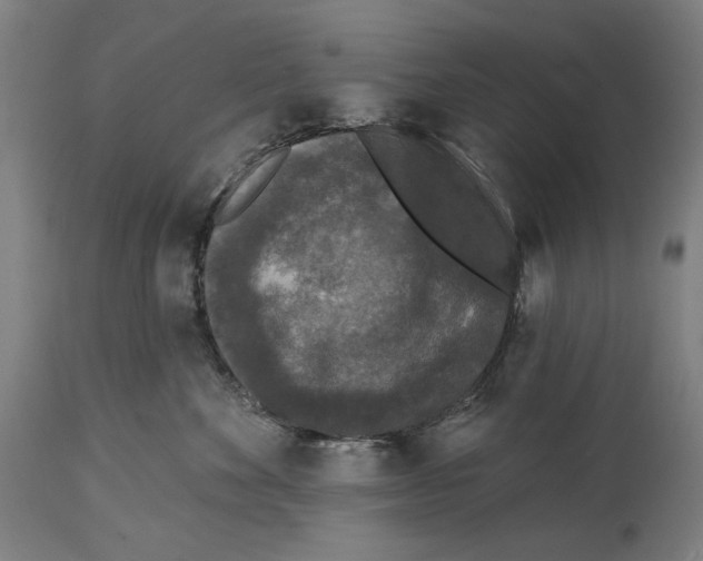 X0000114440524200911131518