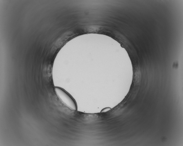 X0000114440525200911131518