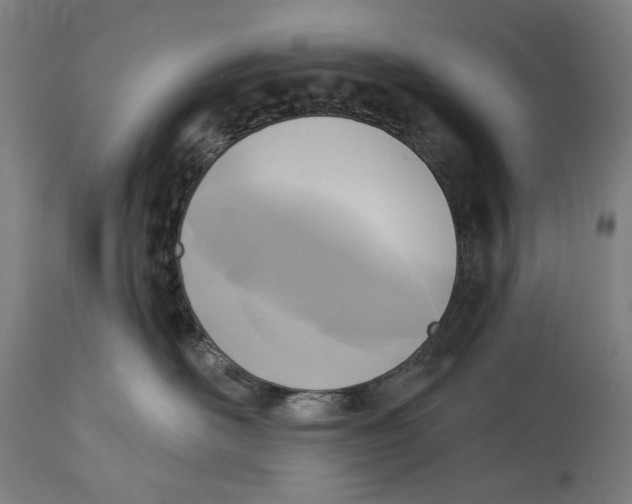 X0000114440526200911131518