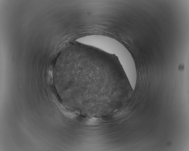 X0000114440527200911131518