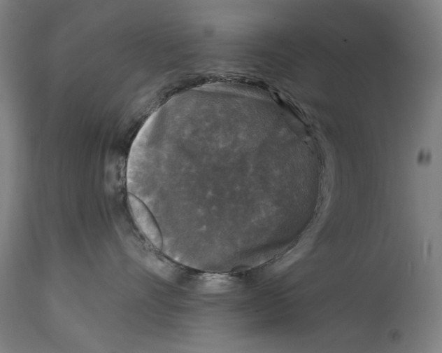 X0000114440528200911131518