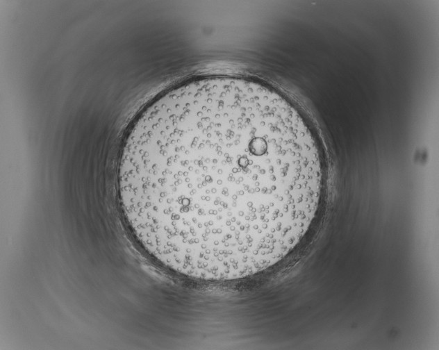 X0000114440529200911131518