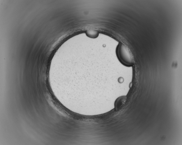 X0000114440530200911131518