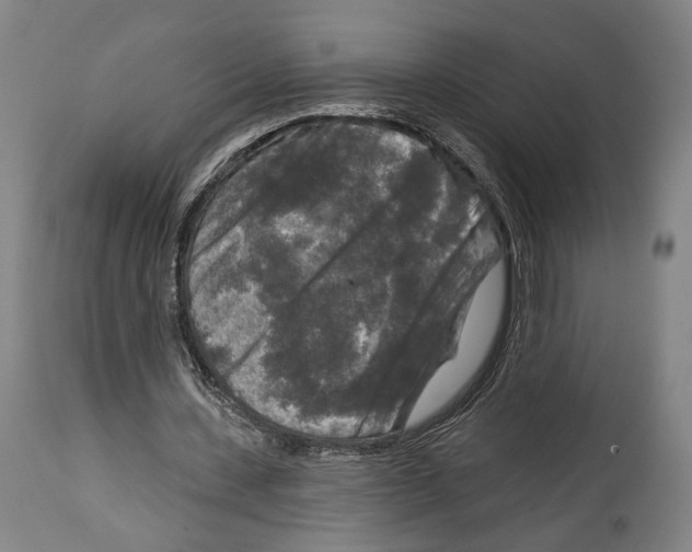 X0000114440531200911131518