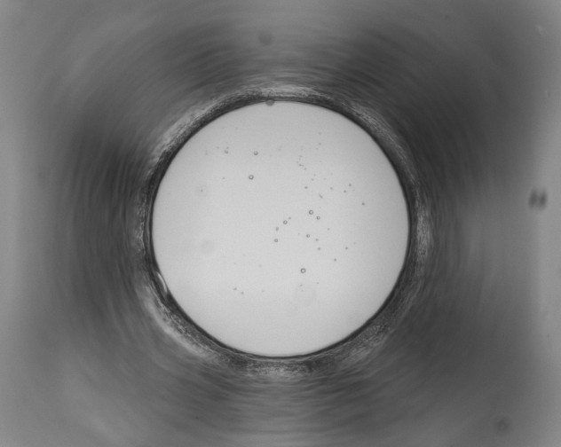 X0000114440533200911131518