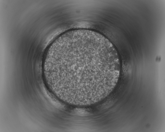 X0000114440534200911131518