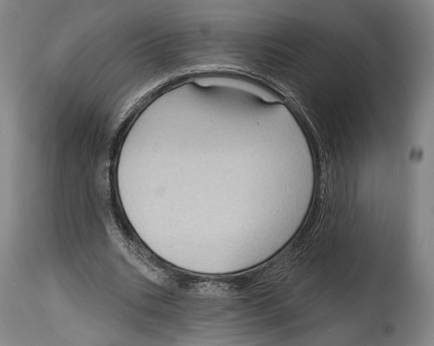 X0000114440535200911131518