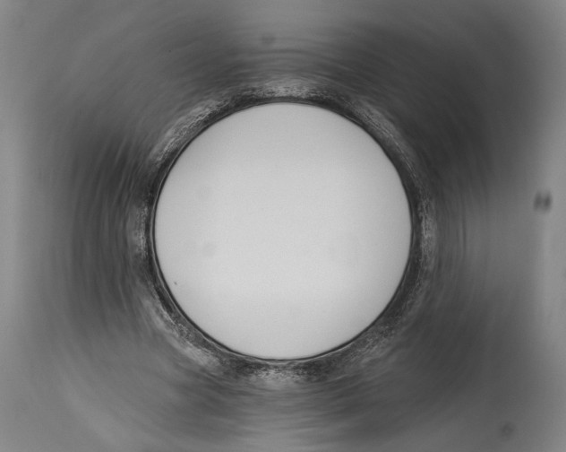 X0000114440537200911131518