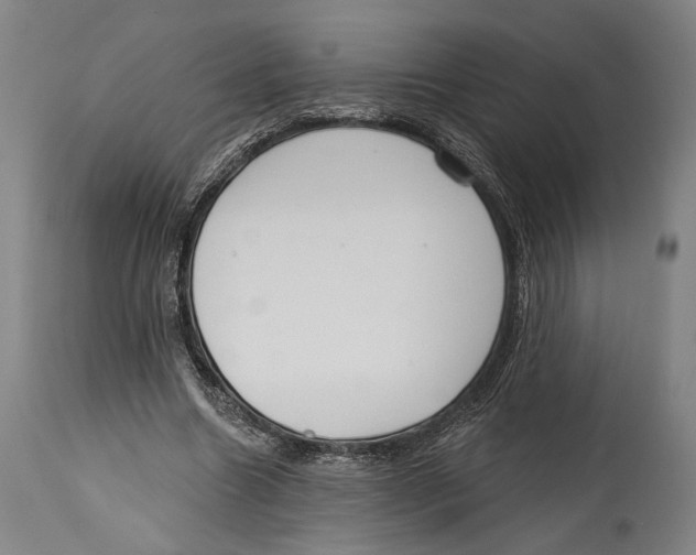 X0000114440538200911131518