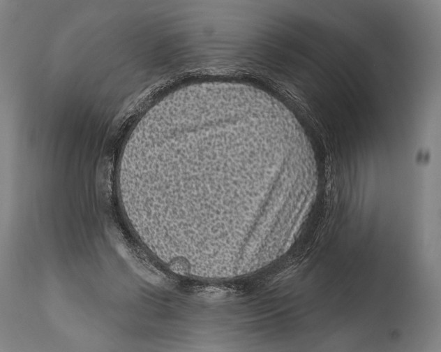 X0000114440542200911131518