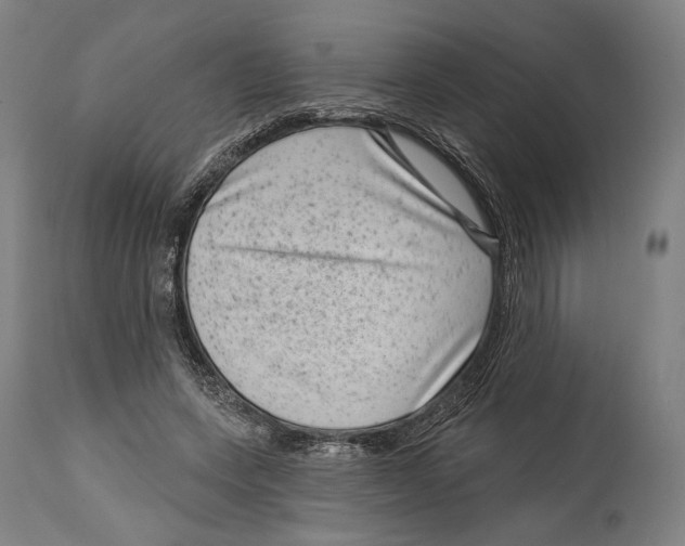 X0000114440543200911131518