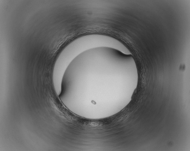 X0000114440546200911131518