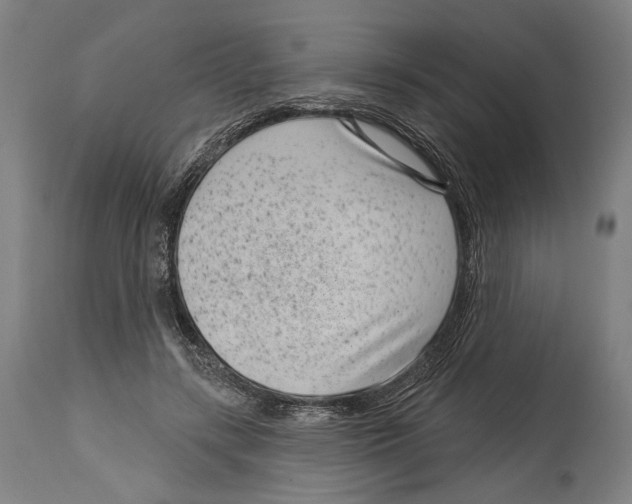 X0000114440547200911131518