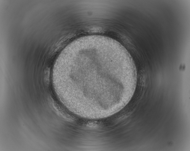 X0000114440550200911131518